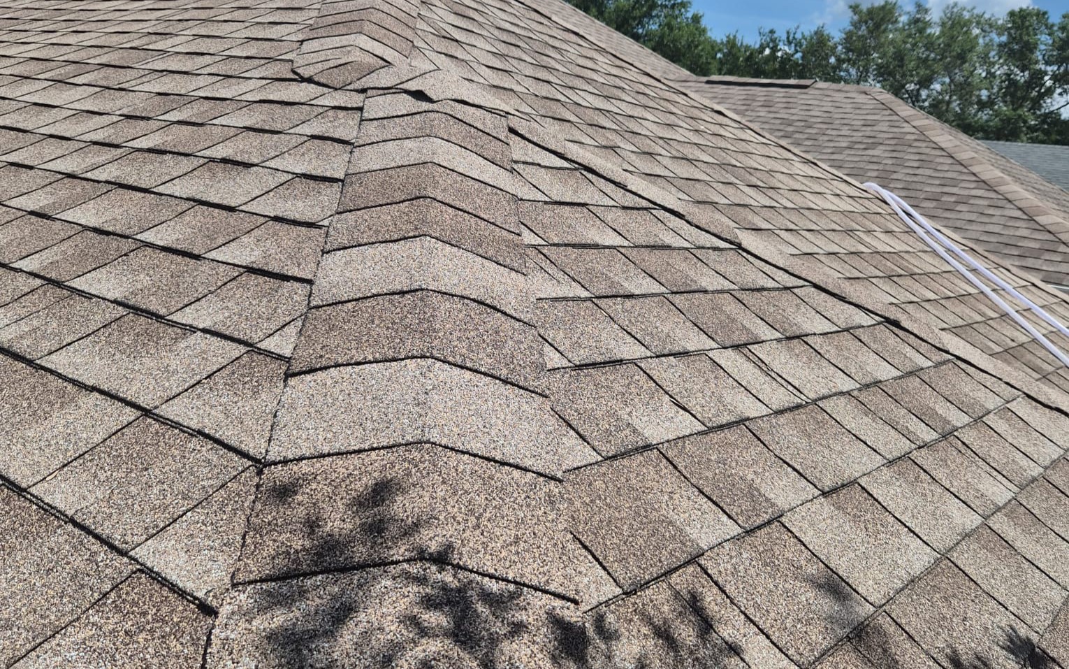 Close-up of treated asphalt shingles on a residential roof